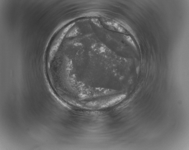 X0000074031045200609181921