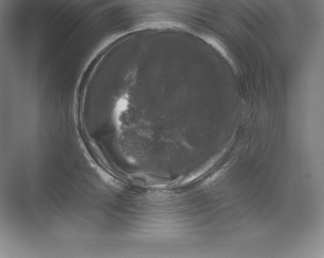 X0000074031046200609181921