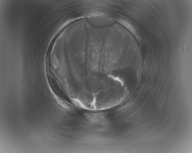 X0000074031047200609181921