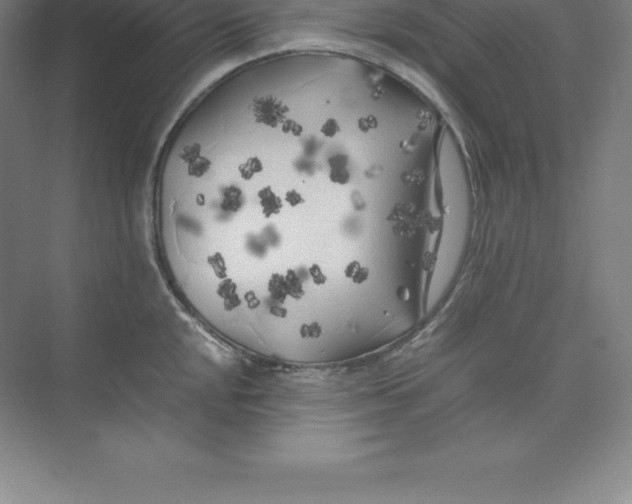 X0000074031048200609181921