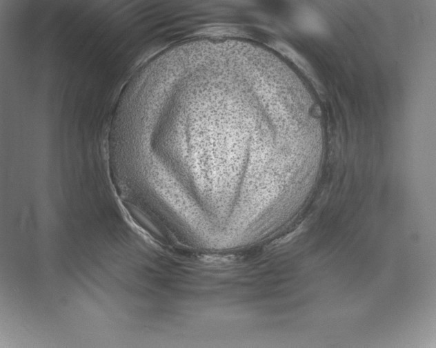 X0000074031049200609181921