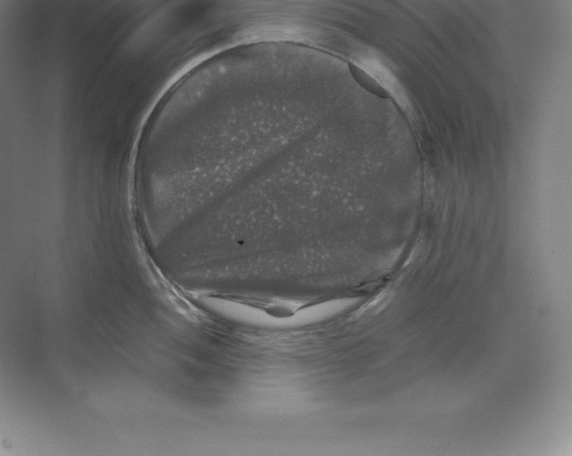 X0000074031052200609181922