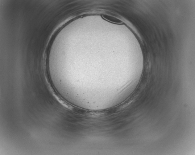 X0000074031053200609181922