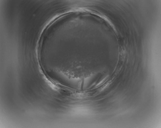 X0000074031054200609181922