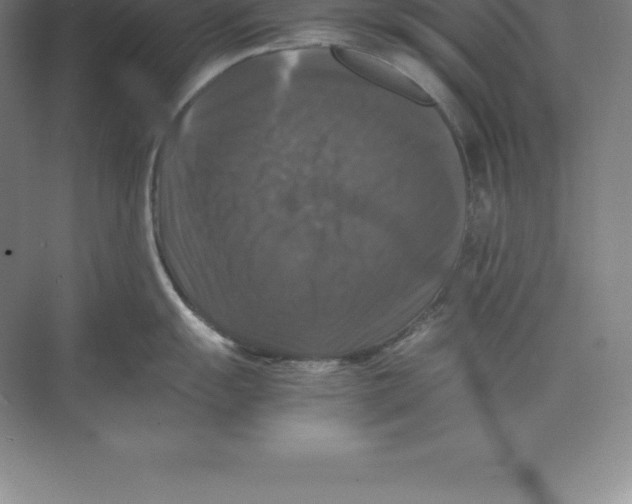 X0000074031055200609181922