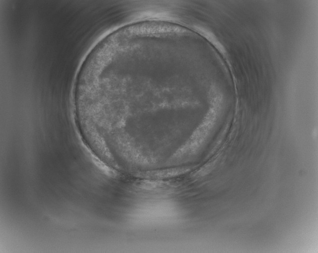 X0000074031056200609181922