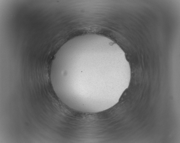 X0000074031058200609181921