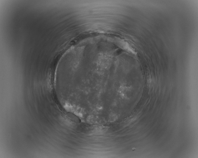 X0000074031060200609181921