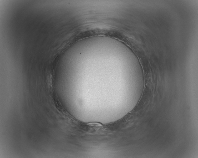 X0000074031061200609181921