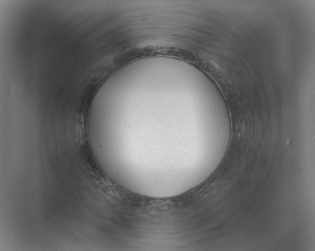 X0000074031062200609181921