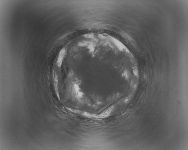 X0000074031063200609181921