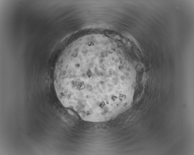 X0000074031064200609181921