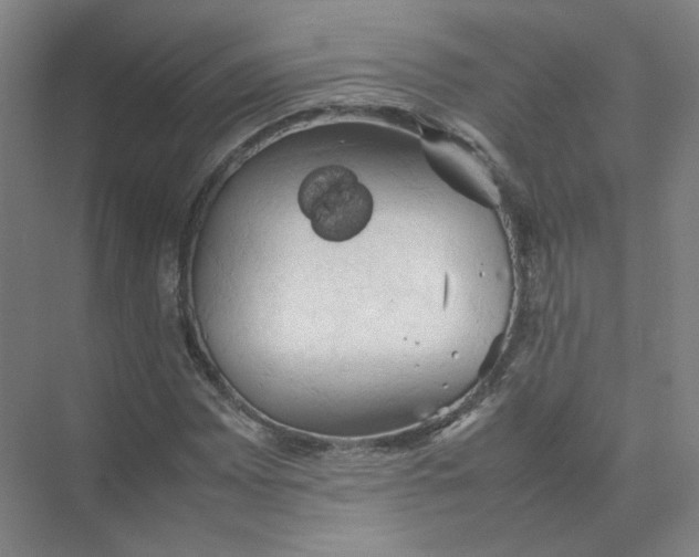 X0000074031065200609181921