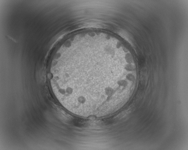 X0000074031067200609181921