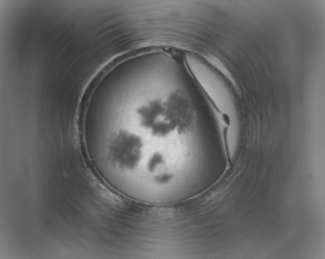 X0000074031068200609181921