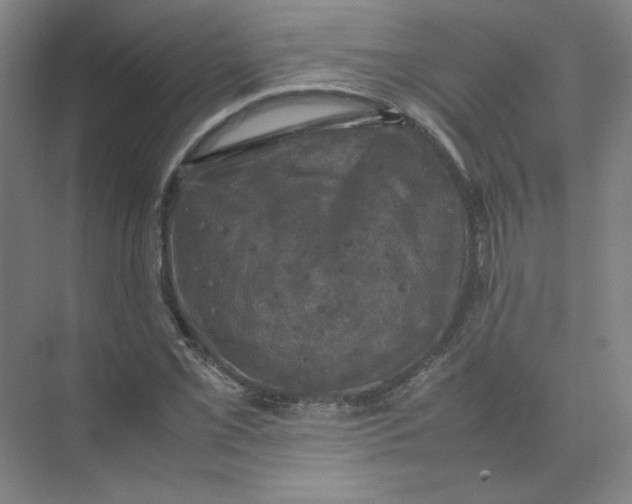 X0000074031069200609181921