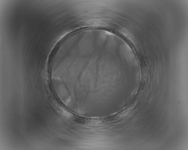 X0000074031071200609181921