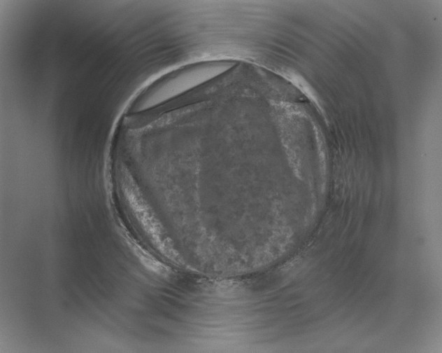 X0000074031072200609181921