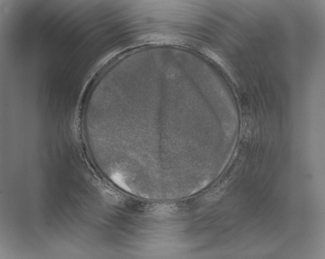 X0000074031074200609181920