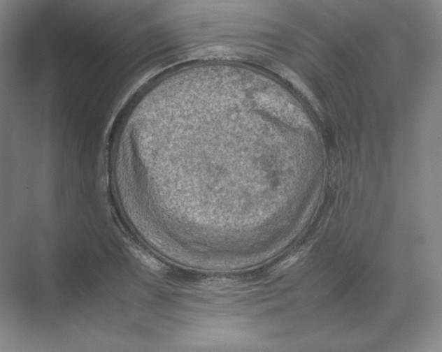 X0000074031075200609181920