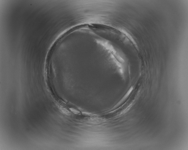 X0000074031077200609181920