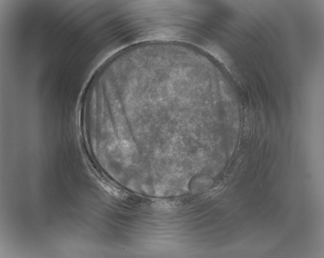 X0000074031078200609181920