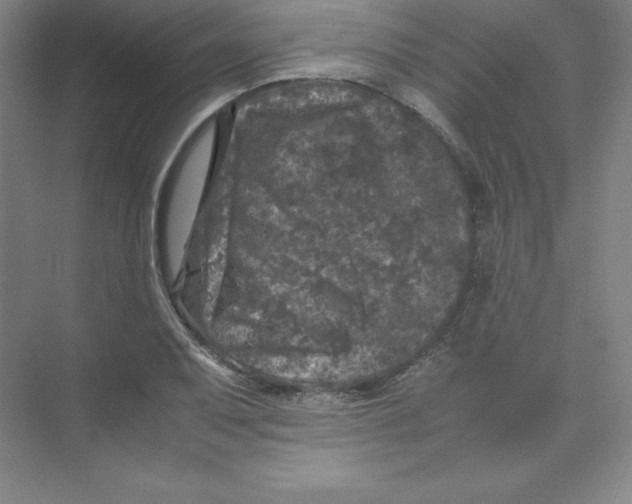 X0000074031079200609181920