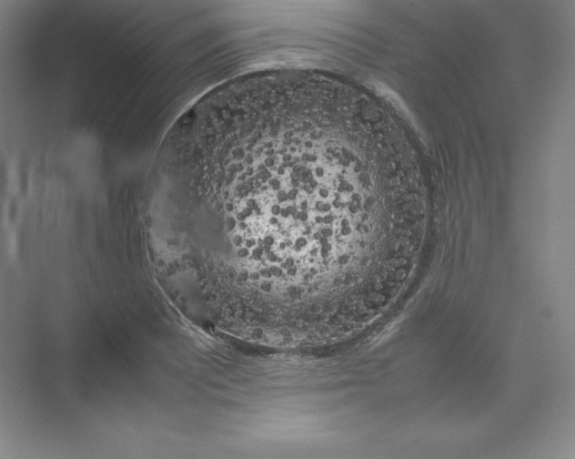 X0000074031081200609181920