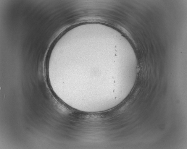 X0000074031082200609181920