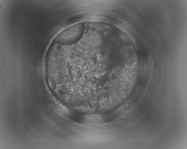 X0000074031083200609181920