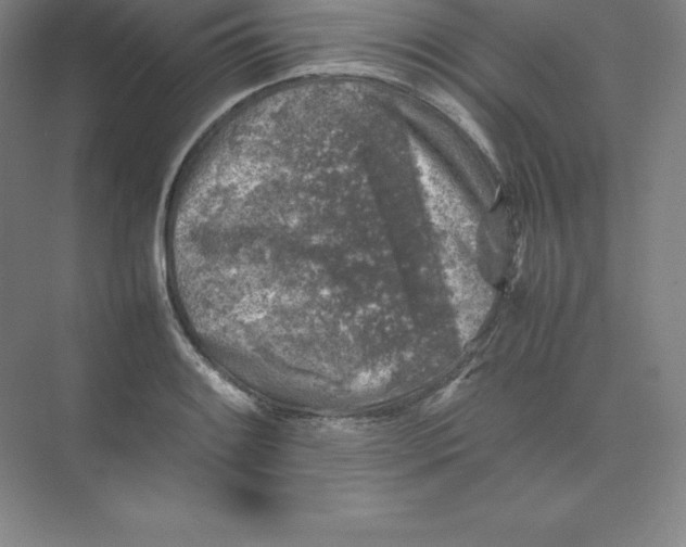 X0000074031084200609181920