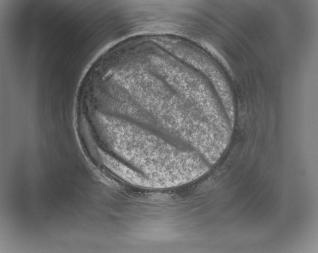 X0000074031085200609181920