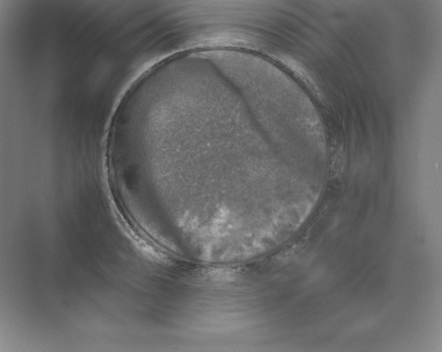 X0000074031086200609181920