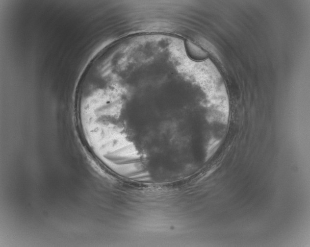 X0000074031087200609181920