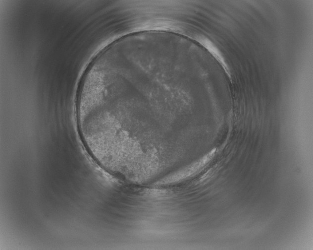 X0000074031088200609181920