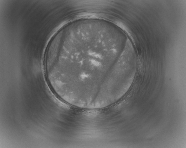 X0000074031090200609181920