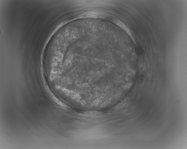 X0000074031091200609181920