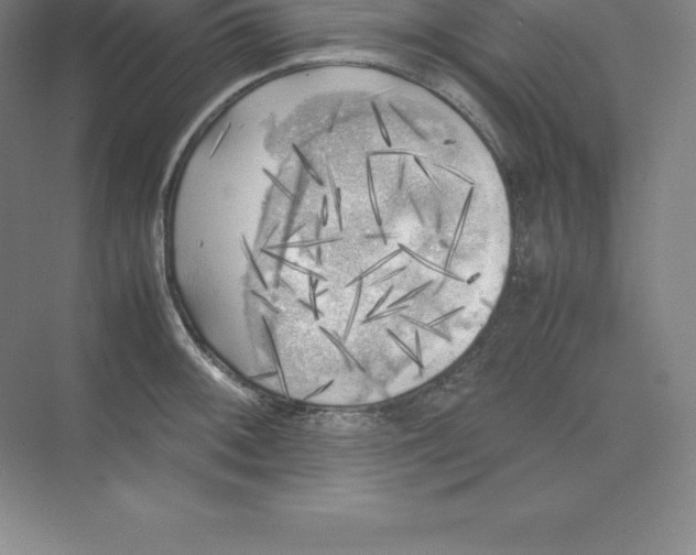 X0000074031092200609181920