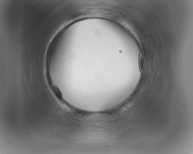 X0000074031093200609181920