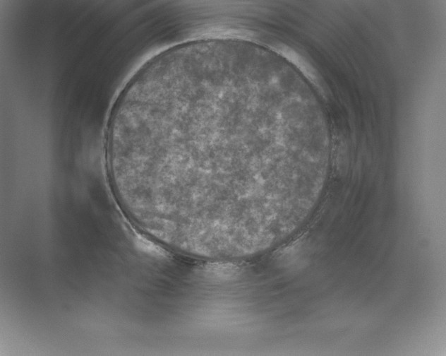 X0000074031094200609181920