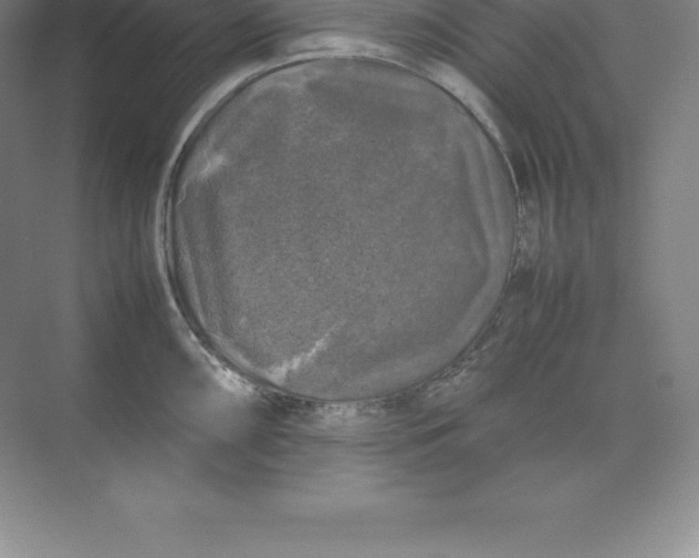 X0000074031098200609181920