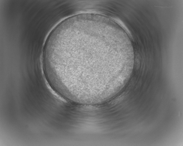 X0000074031100200609181920