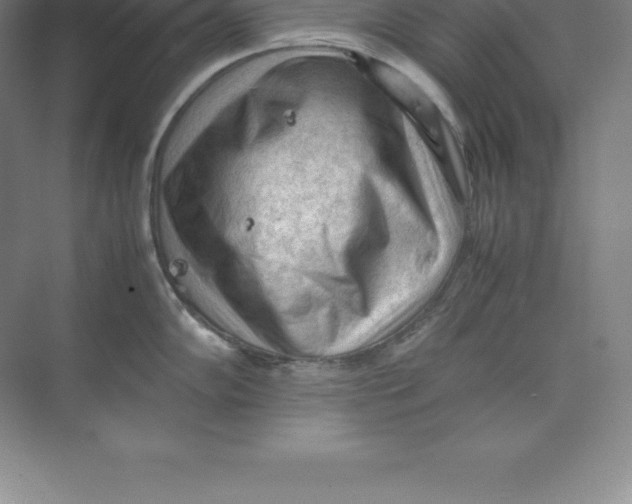 X0000074031102200609181920