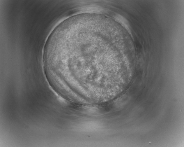 X0000074031103200609181920