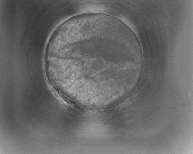 X0000074031104200609181920