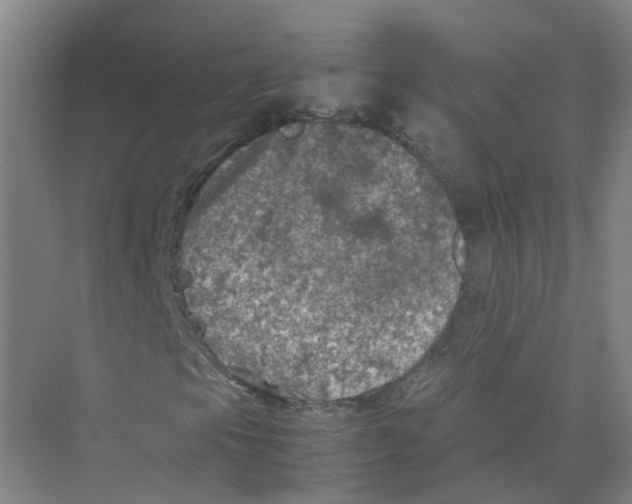 X0000074031105200609181919