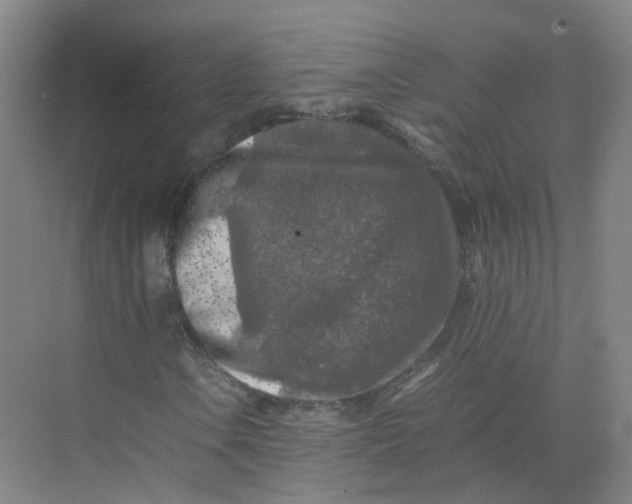 X0000074031106200609181919