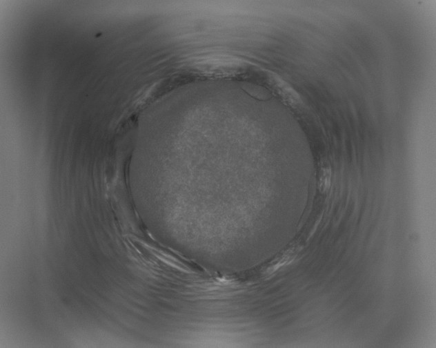 X0000074031108200609181919