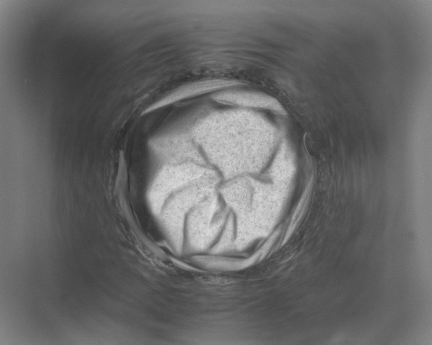 X0000074031109200609181919