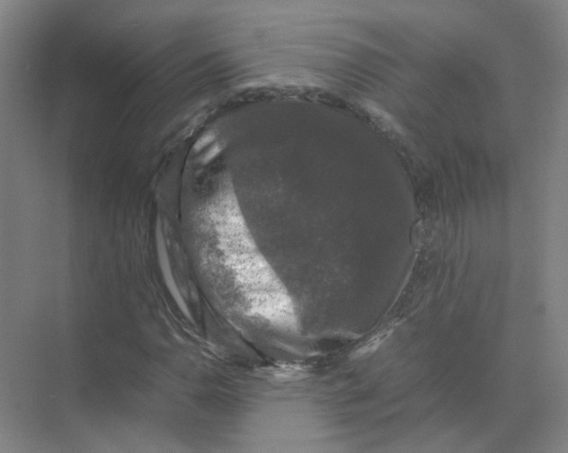 X0000074031110200609181919